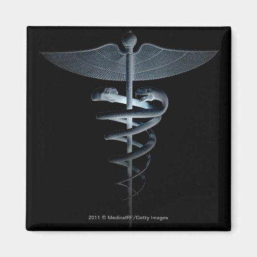 医学的幹部に注目する マグネット (正面)