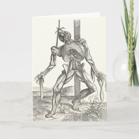 医学骨組解剖用死体の死体の解剖学 カード (正面)