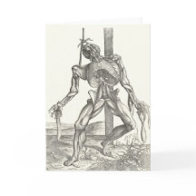 医学骨組解剖用死体の死体の解剖学