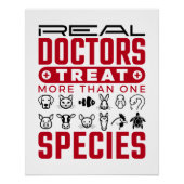 医実在師は複数の種類の獣医を治療する ポスター (正面)