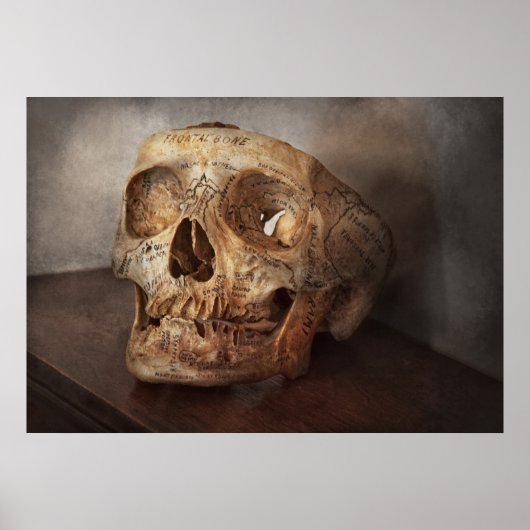 医師 – 試験用のチートシート ポスター (正面)