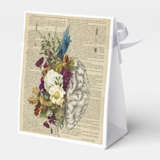 医用フローラ解剖学ポスター フェイバーボックス (裏面サイド)