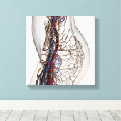 医療イラストレーション動脈2 キャンバスプリント (インサイチュ (ウッドフロア))