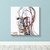 医療イラストレーション型頭動脈2 キャンバスプリント (インサイチュ (ウッドフロア))