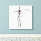 医療イラストレーション：女性循環系2 キャンバスプリント (インサイチュ (ウッドフロア))