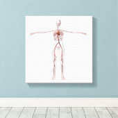 医療イラストレーション：女性循環系3 キャンバスプリント (インサイチュ (ウッドフロア))