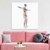 医療イラストレーション：男性生殖器系2 キャンバスプリント (インサイチュ (リビング))