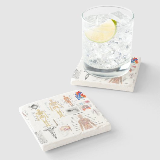 医療チャートの全色 ストーンコースター (横)