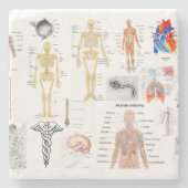 医療チャートの全色 ストーンコースター (正面)