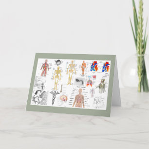 医療チャート フルカラー カード