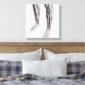 医療用イラストレーション動脈3 キャンバスプリント (インサイチュ (寝室))