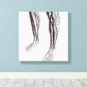 医療用イラストレーション動脈3 キャンバスプリント (インサイチュ (ウッドフロア))