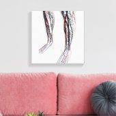 医療用イラストレーション動脈3 キャンバスプリント (インサイチュ (リビング))