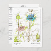 医療用ハーブ勉強カードニゲラワイルドフラワー ポストカード (正面/裏面)