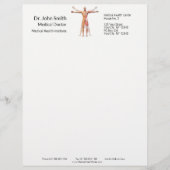 医療用人体体骨格筋-レターヘッド レターヘッド (正面)