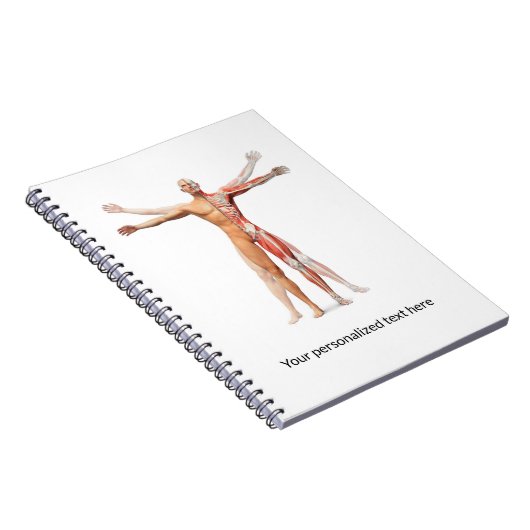 医療用人間の体スケルトン筋肉 – ノートブック (右側)
