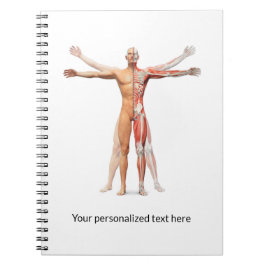 医療用人間の体スケルトン筋肉 – ノートブック