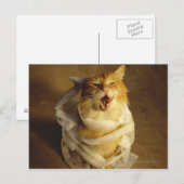 医療用包まれたガーゼ猫 ポストカード (正面/裏面)