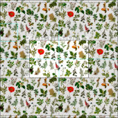 医療用薬草花Herbarium ファブリック (タイル)