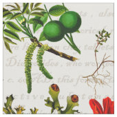 医療用薬草花Herbarium ファブリック (クローズアップ)