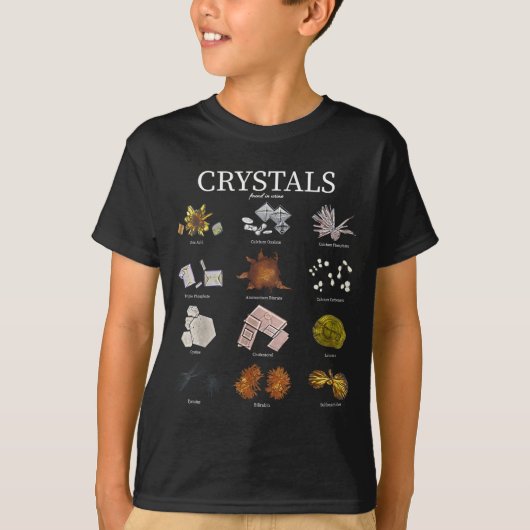 医療研究所尿結晶ラボテックサイエンス Tシャツ (正面)