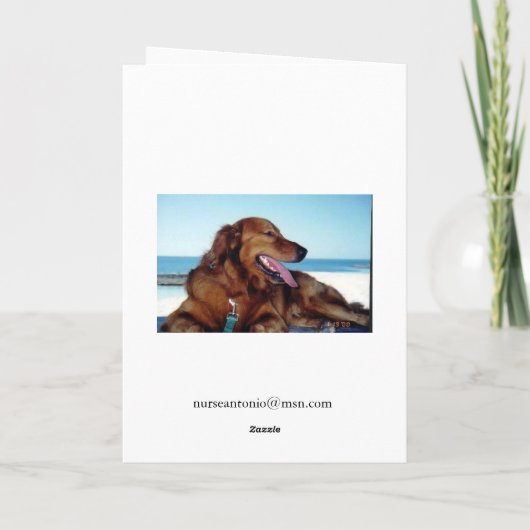 医者は… カード (裏面)