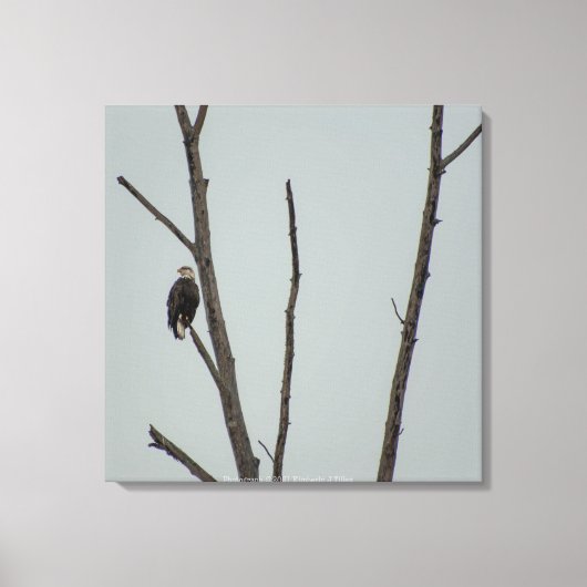 十一月 キャンバスプリント (正面)