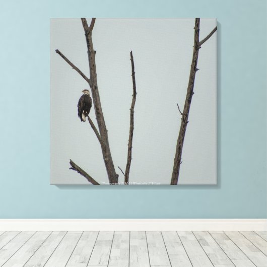 十一月 キャンバスプリント (インサイチュ (ウッドフロア))