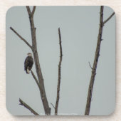 十一月 コースター (正面)