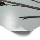 十一月 フォトプリント            (角)