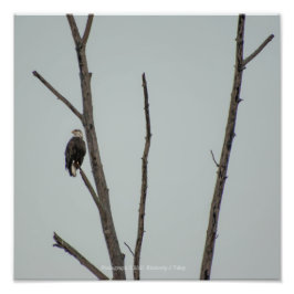 十一月 フォトプリント           