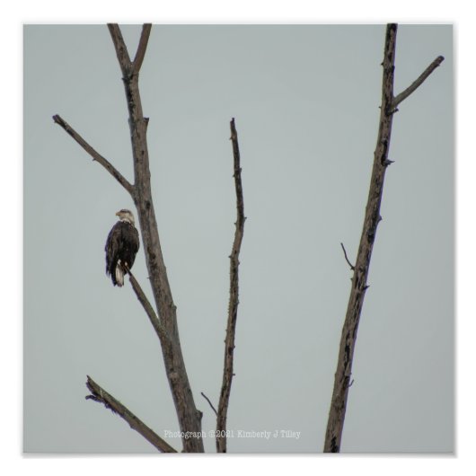 十一月 フォトプリント            (正面)