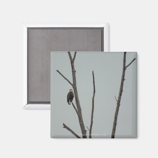 十一月 マグネット (正面/裏面)