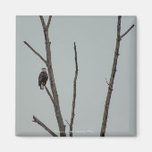 十一月 マグネット (正面)