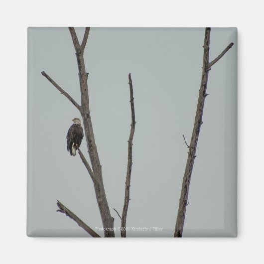 十一月 マグネット (正面)