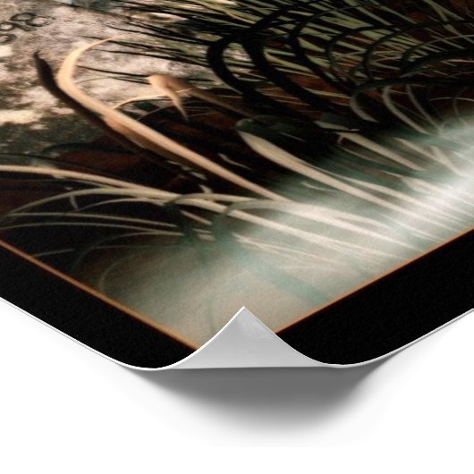 十三 ポスター (角)