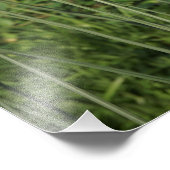 十九エックス13ネギ フォトプリント            (角)