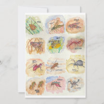 十二種類の昆虫のカラフルな画像が描かれたグリーティングカード