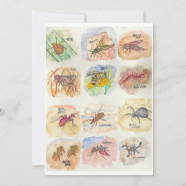 十二種類の昆虫のカラフルな画像が描かれたグリーティングカード シーズンカード