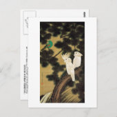 十二老松鸚鵡図、若冲松と鸚鵡、寂聴 ポストカード (正面/裏面)