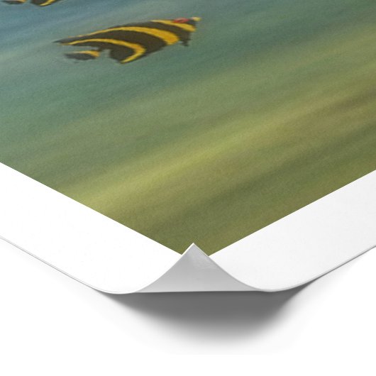 十代の人魚 ポスター (角)