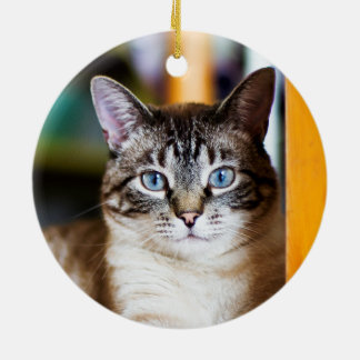 十分にはえのシャム猫のオーナメントのRummy セラミックオーナメント