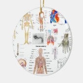 十分に着色される人間の解剖学の医学の図表 セラミックオーナメント (左)