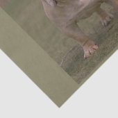 十分のブルドッグ2 薄葉紙 (詳細)