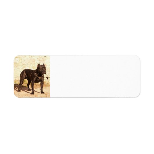 十分のperro de pressaのcanerio ラベル (正面)