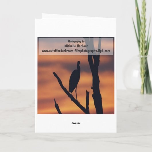 十分精神病院の挨拶状を得て下さい カード (裏面)