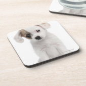 十字の品種子犬(2か月古い) コースター (左側)