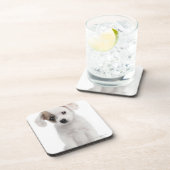 十字の品種子犬(2か月古い) コースター (右側)