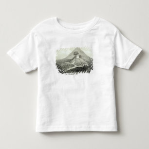 十字の寺院の絵のような眺め、Palen トドラーTシャツ