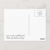 十字架はがきにイエス ポストカード (裏面)